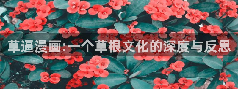 喵趣漫画破解：草逼漫画:一个草根文化的深度与反思