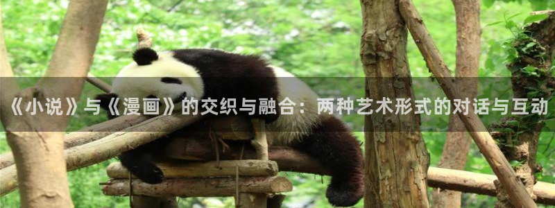 喵漫画最新版：《小说》与《漫画》的交织与融合：两种艺术形式的对话与互动