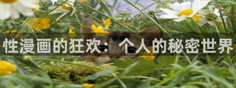 喵物漫画：性漫画的狂欢：个人的秘密世界