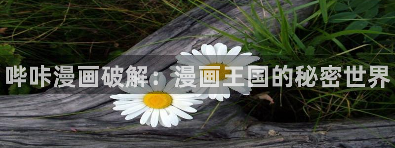 喵上漫画：哔咔漫画破解：漫画王国的秘密世界